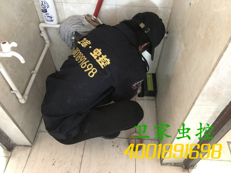 韶关仁化县白蚁防治所公司{您身边的白蚁专家}指定上门灭治白蚁除杀白蚁中心-仁化县专业权威的白蚁预防治理